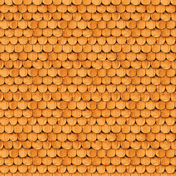 C14577-ORANGE