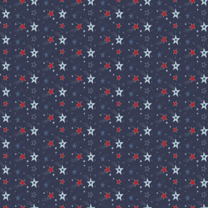 C15712-NAVY